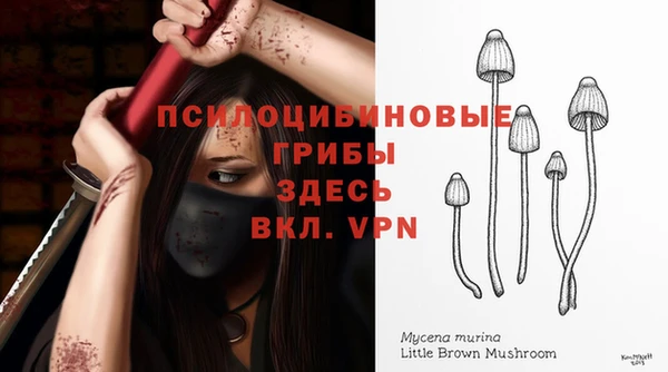 a pvp Майский