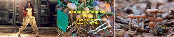 стафф Магадан