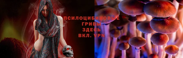 spice Магас