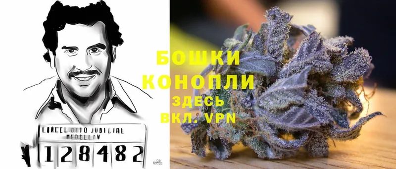 Марихуана OG Kush  Пушкино 